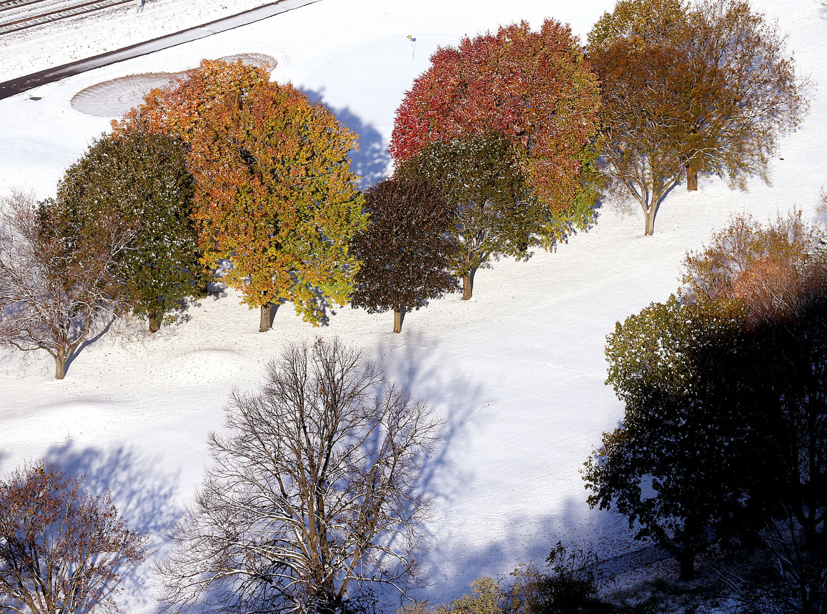 Forest Hills Golf Course